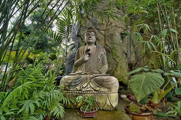 DSC_6419_8_7_6_5_4_3_2_Detail-DeNoiseAI-standard