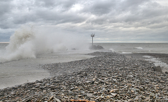 DSC_8536_Detail