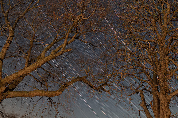 4.17.2022 - finished photo