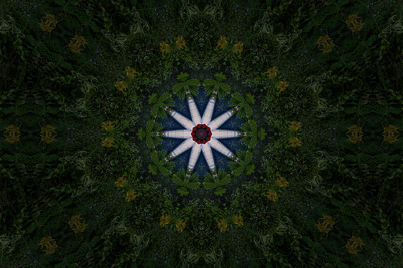 DSC_4182_Detail - Color-SharpenAI-Standard
