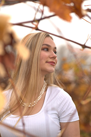 DSC_5270 -1