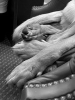 IMG_7611-SharpenAI-Softness
