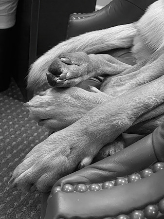 IMG_7611-SharpenAI-Softness
