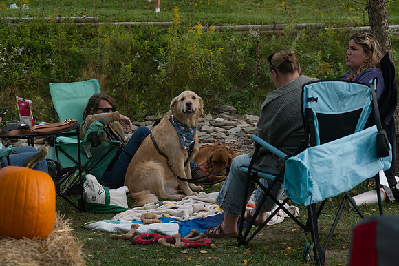 DSC_1903-low-light