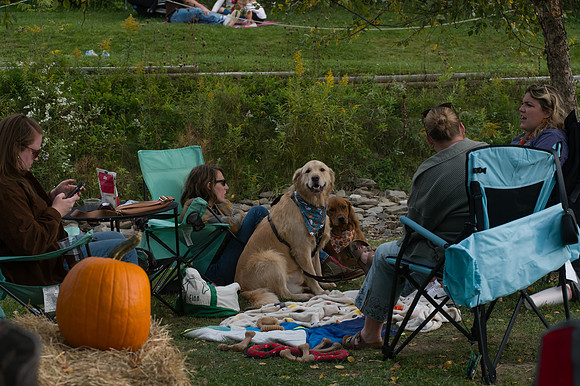 DSC_1896-low-light